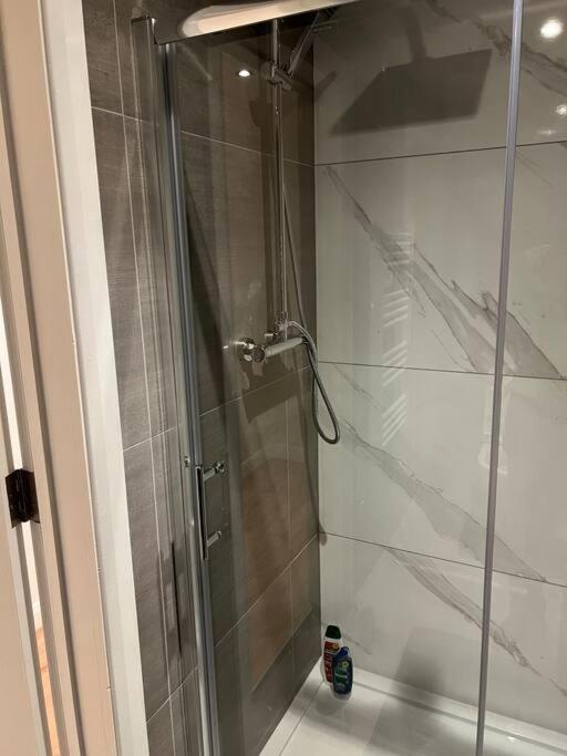 009- Studio Apartment In Ealing F5 Zewnętrze zdjęcie