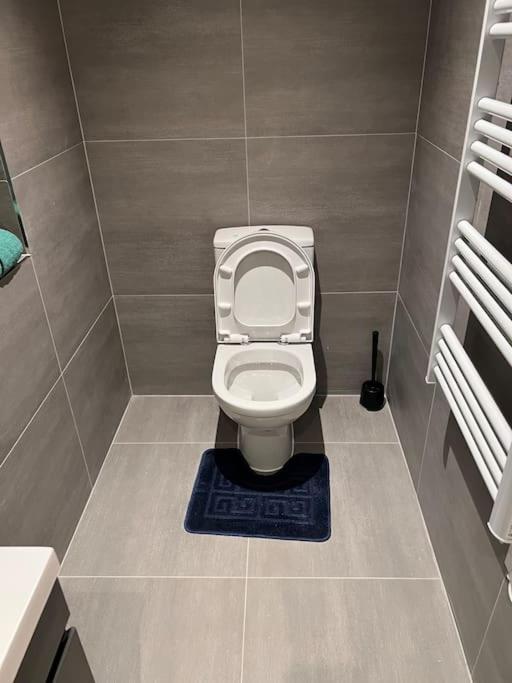 009- Studio Apartment In Ealing F5 Zewnętrze zdjęcie