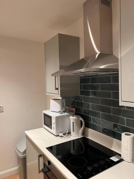 009- Studio Apartment In Ealing F5 Zewnętrze zdjęcie